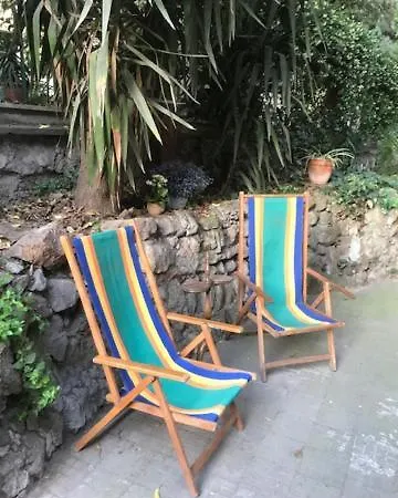 Centralissima Collegatissima *